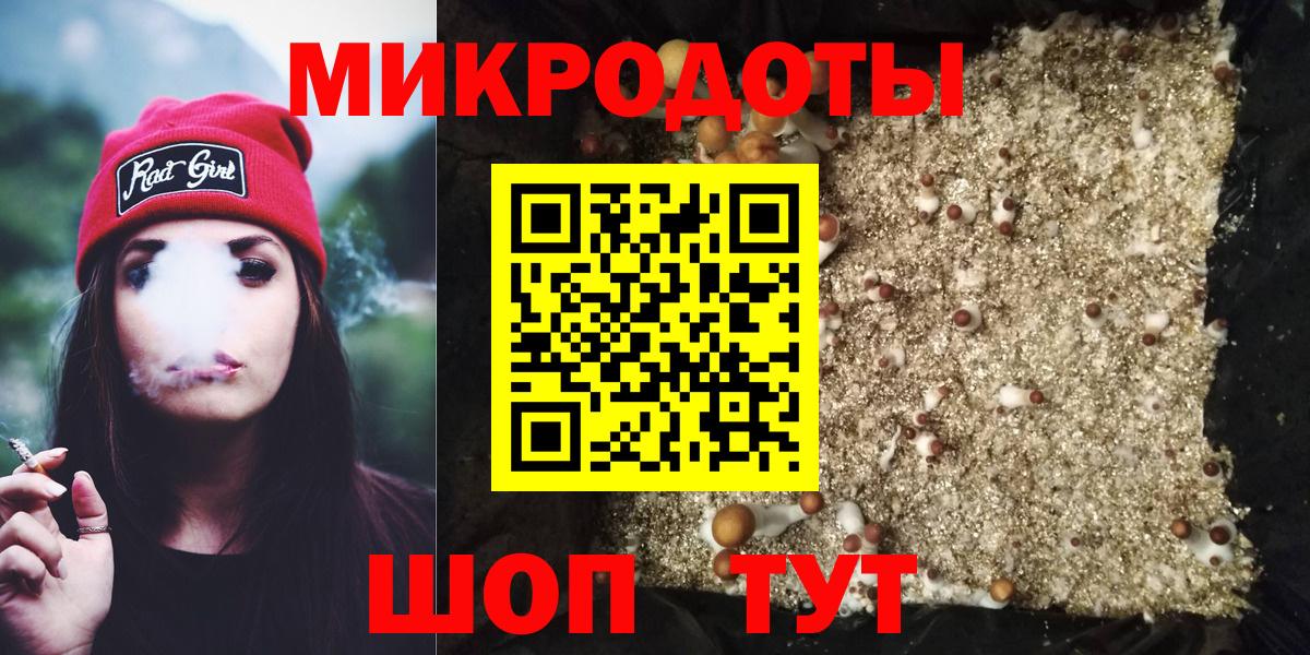 Псилоцибиновые грибы прущие грибы  Вход с VPN  Нальчик  Галлюциногенные грибы Psilocybe 