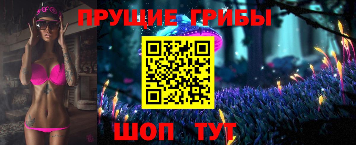 Галлюциногенные грибы Cubensis Нальчик